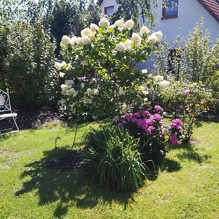 Apartamento Waldwinkel Treuchtlingen Exterior foto